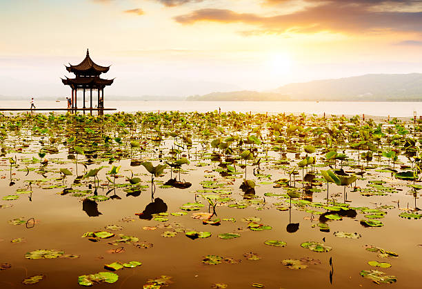 istock China Hangzhou West Lake Landscape 501063995