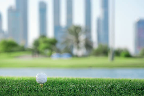 istock Professional golf. Golf ball is on the tee 501064620