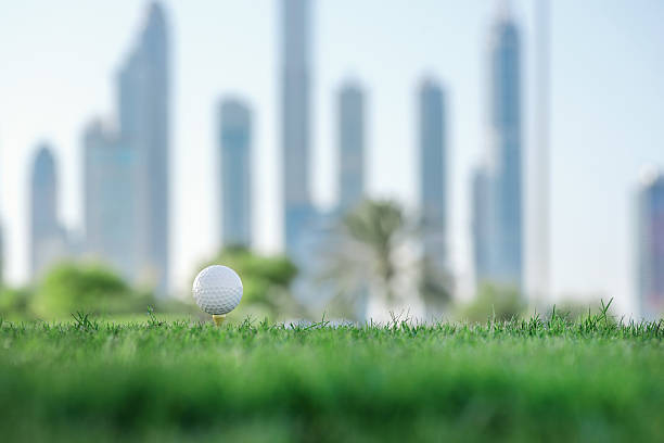 istock Professional golf. Golf ball is on the tee 501064748