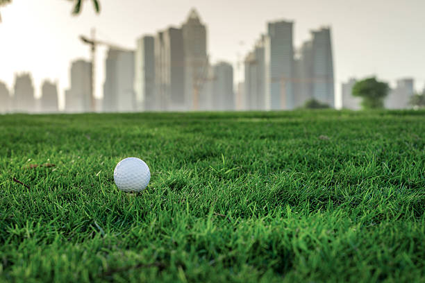istock Professional golf. Golf ball is on the tee 501064962