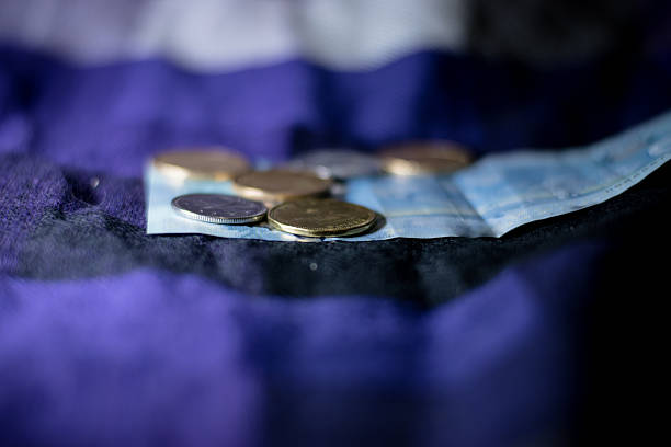 money on a scarf - endollarsmynt kanadensiskt mynt bildbanksfoton och bilder