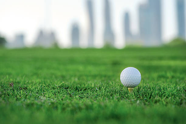 istock Professional golf. Golf ball is on the tee 501066086