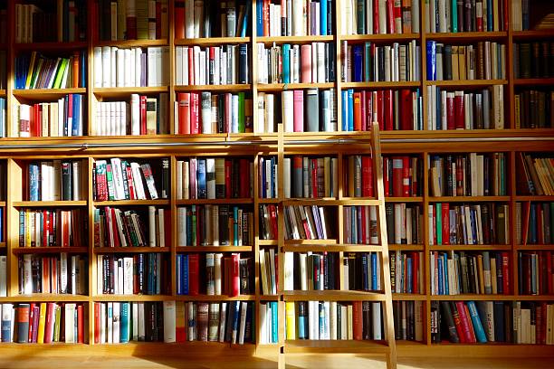 istock View of book shelves in the last afternoon sunrays 501067636