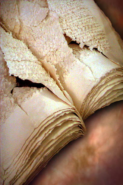 pergamena - paper old book vellum - fotografias e filmes do acervo