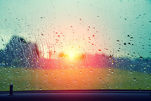 istock Driving a car in the rain 501067792