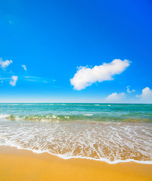 istock golden shore and blue sky in Sardinia 501068976
