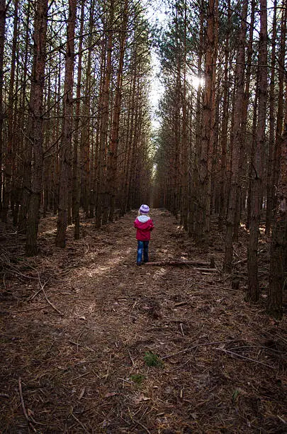 little kid in rural path between line of trees