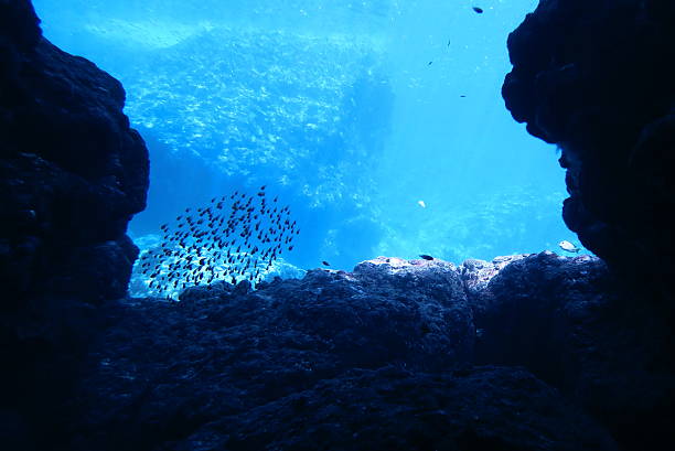 istock Terrain of Miyakojima 501069886