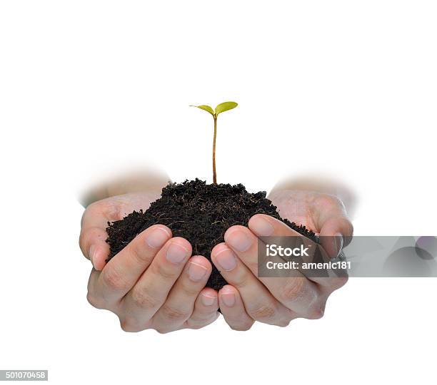 Young Growing Plant On The Human Hand With Icon Of Watering Shower