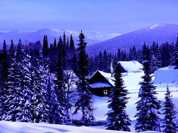 istock Winter blue twilight in the mountains 501071944