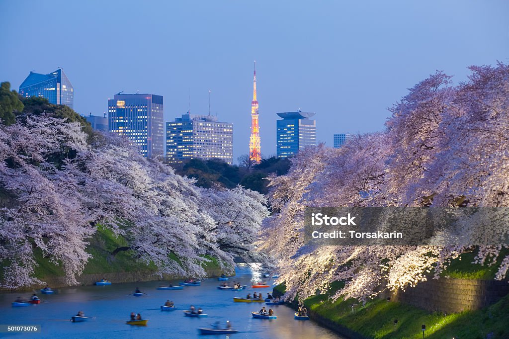 Magnifique sakura cherry blossom lumière et la tour de Tokyo - Photo de Préfecture de Tokyo libre de droits