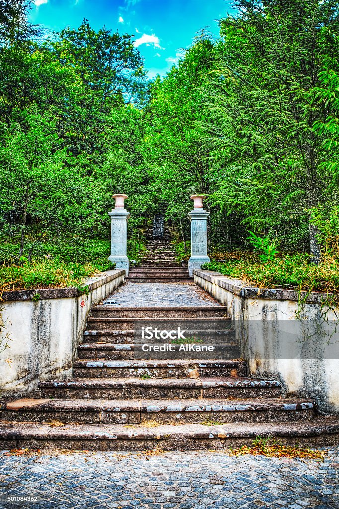 old stairs in the forest old stairs in the forest, Sardinia 2015 Stock Photo