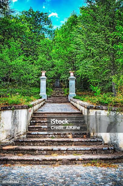 Old Stairs In The Forest Stock Photo - Download Image Now - 2015, Architectural Column, Architecture