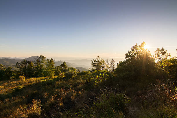 istock Doi Inthanon National park in the sunset. 501084558