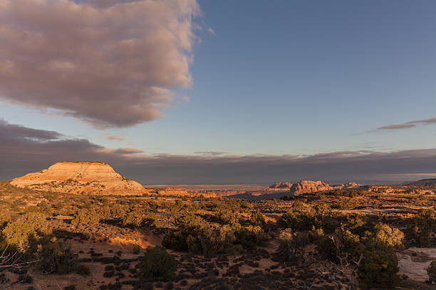 istock Canyonlands N.P.  Landscape 501085350