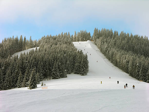 istock Ski track in Carpathian mountains 501086366