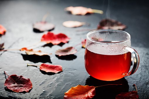 Romantic autumn cup of tea with leaves