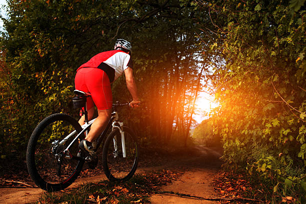istock Biker on the forest road riding outdoor 501086726