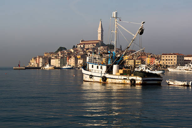 istock fishing boat in Rovinj 501089646