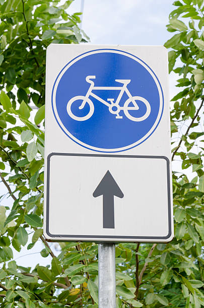 istock Blue bicycle lane sign with sky and trees background 501089876