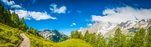 trilha de terra alpes idílica de florestas alpinas picos de montanha meadow - courmayeur european alps mont blanc mountain - fotografias e filmes do acervo