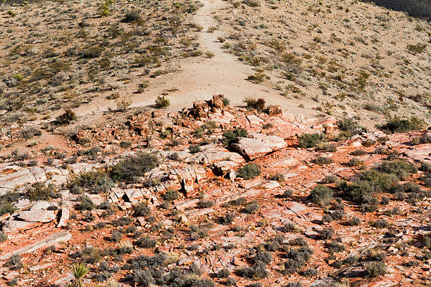 istock Stone Desert, Southern Nevada 501091554
