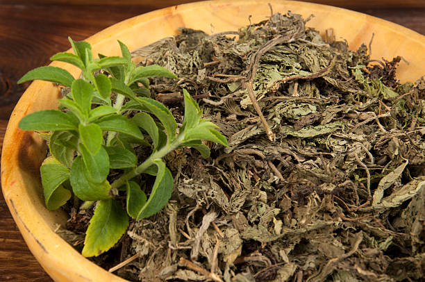 estévia - glucose herb leaf dried plant imagens e fotografias de stock