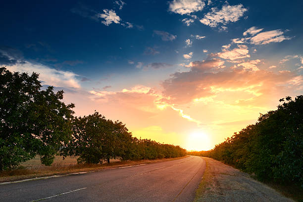 istock beautiful sunset on road, summer landscape 501093486