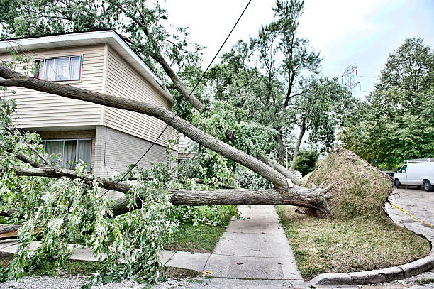 istock Wind Destruction Outdoors 501094856