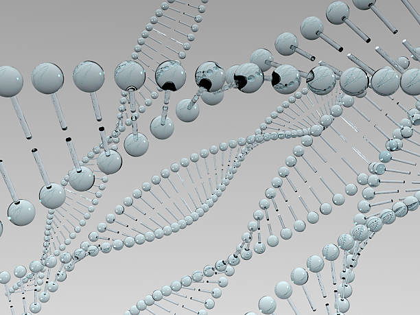 DNA Structure stock photo