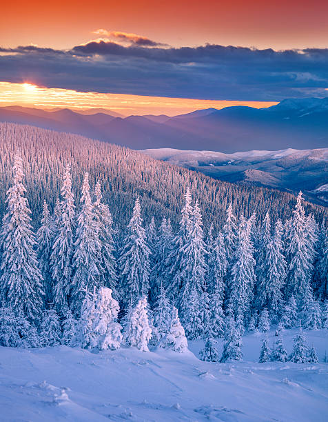 istock Colorful winter scene in the Carpathian mountains 501115378