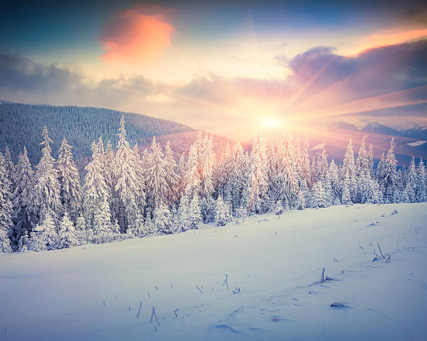 istock Colorful winter scene in the Carpathian mountains. 501115442
