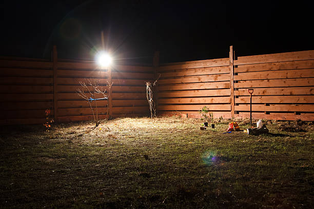 istock planting at night in spotlight in the fall 501116874