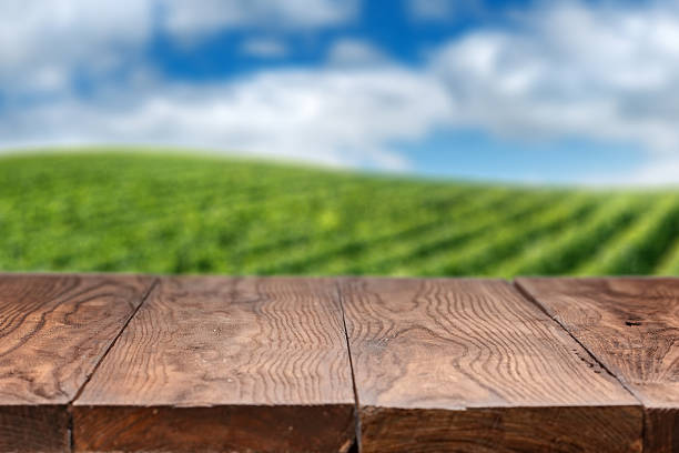 istock Empty wooden table with vineyard landscape 501117216