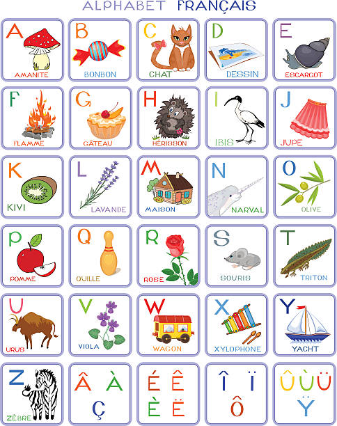 French alphabet with pictures French alphabet with pictures french language learn stock illustrations