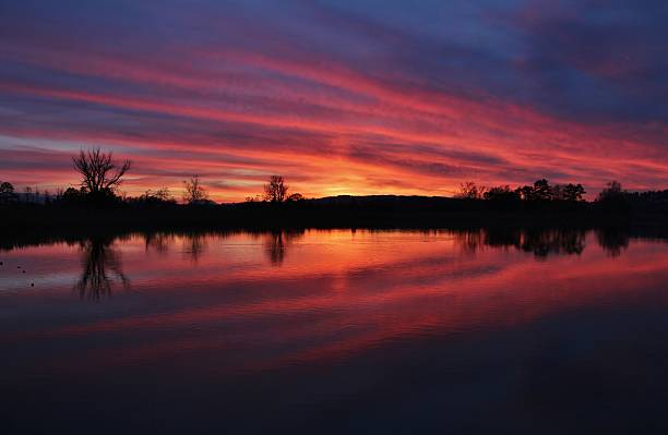 istock Colorful sunset at lake Pfaffikon 501119806