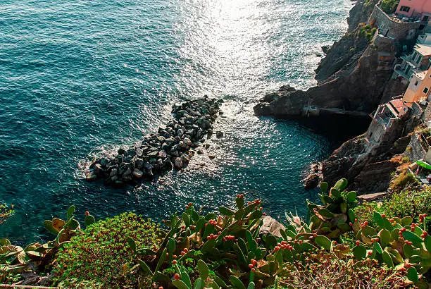 View in Cinque-Terre looking down from a cliff and dropping to the Mediterranean Sea.  Blue sparkling water and rocks below.