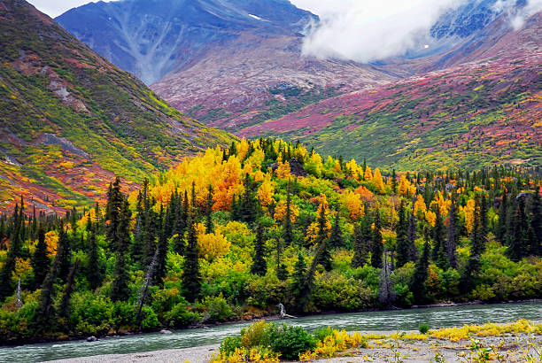 brillant couleur sur les montagnes d'alaska - scenics denali national park alaska usa photos et images de collection