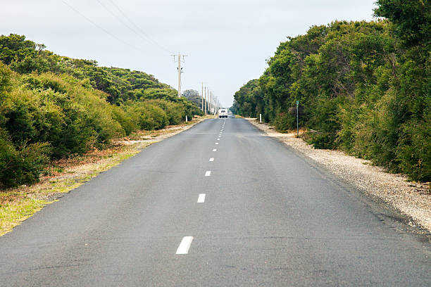 istock Straight road throught bushes 501122376