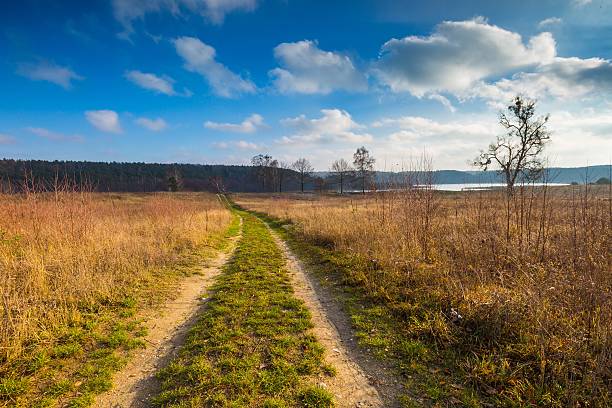 istock Landscape of fields at late autumn or winter 501122744