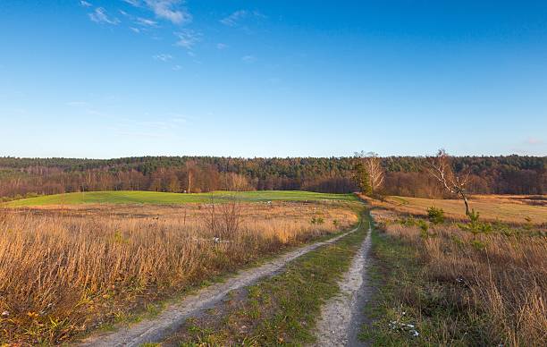 istock Panoramic landscape of fields at late autumn or winter 501122962