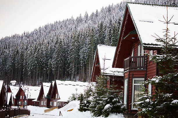 istock Beautiful house in the mountains 501123062
