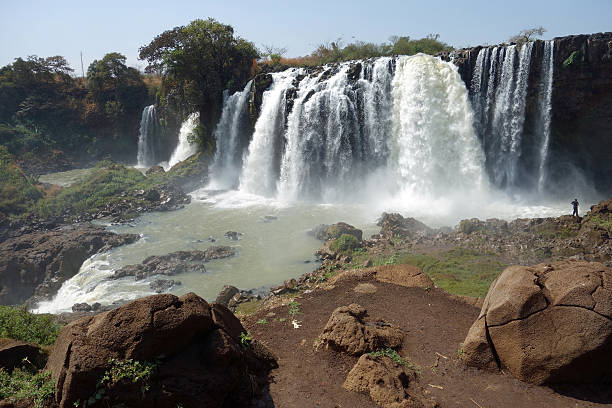 istock Falls of the Blue Nile 501123804