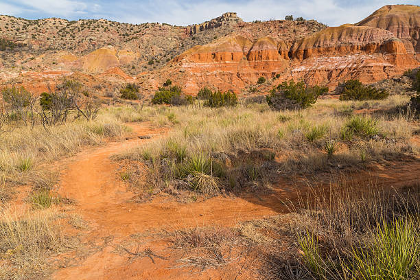 istock Mountain Bike Trail in Rugged Texas Terrain 501124434