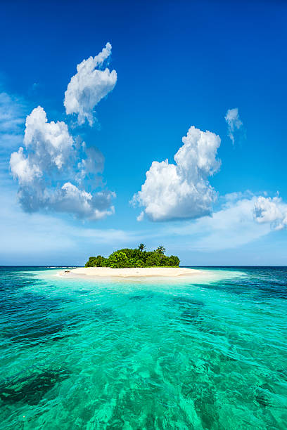 egzotyczne raju samotny tropikalnej wyspie na karaibach - vertical panorama zdjęcia i obrazy z banku zdjęć