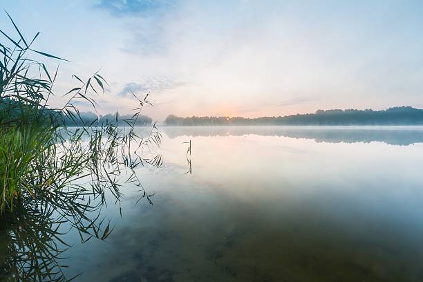 istock Morning foggy lake 501128212
