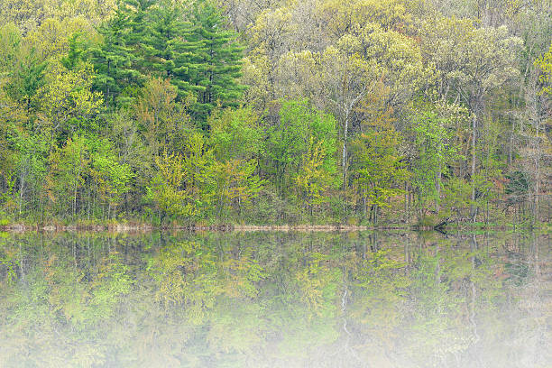 istock Spring, Long Lake in Fog 501135205