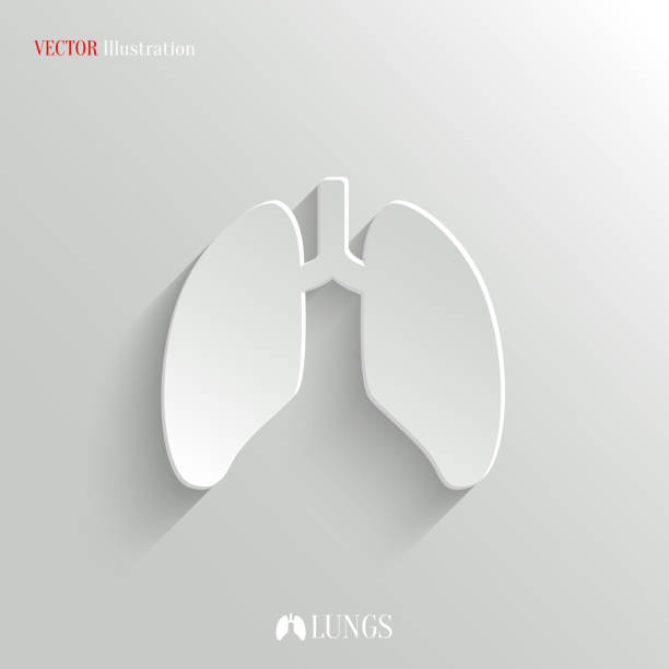 ilustraciones, imágenes clip art, dibujos animados e iconos de stock de pulmones-vector iconos blancos botón de la aplicación - human lung