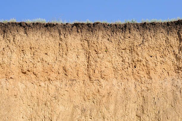 カットの土壌が異なるのレイヤー、芝生と空 - 地質学 ストックフォトと画像