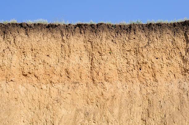 Cut of soil with different layers, grass and sky